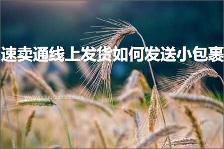 跨境电商知识:速卖通线上发货如何发送小包裹